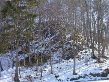 Bild 1 von Massenkalkklippen am Steinbruch Düstertal bei Bleiwäsche